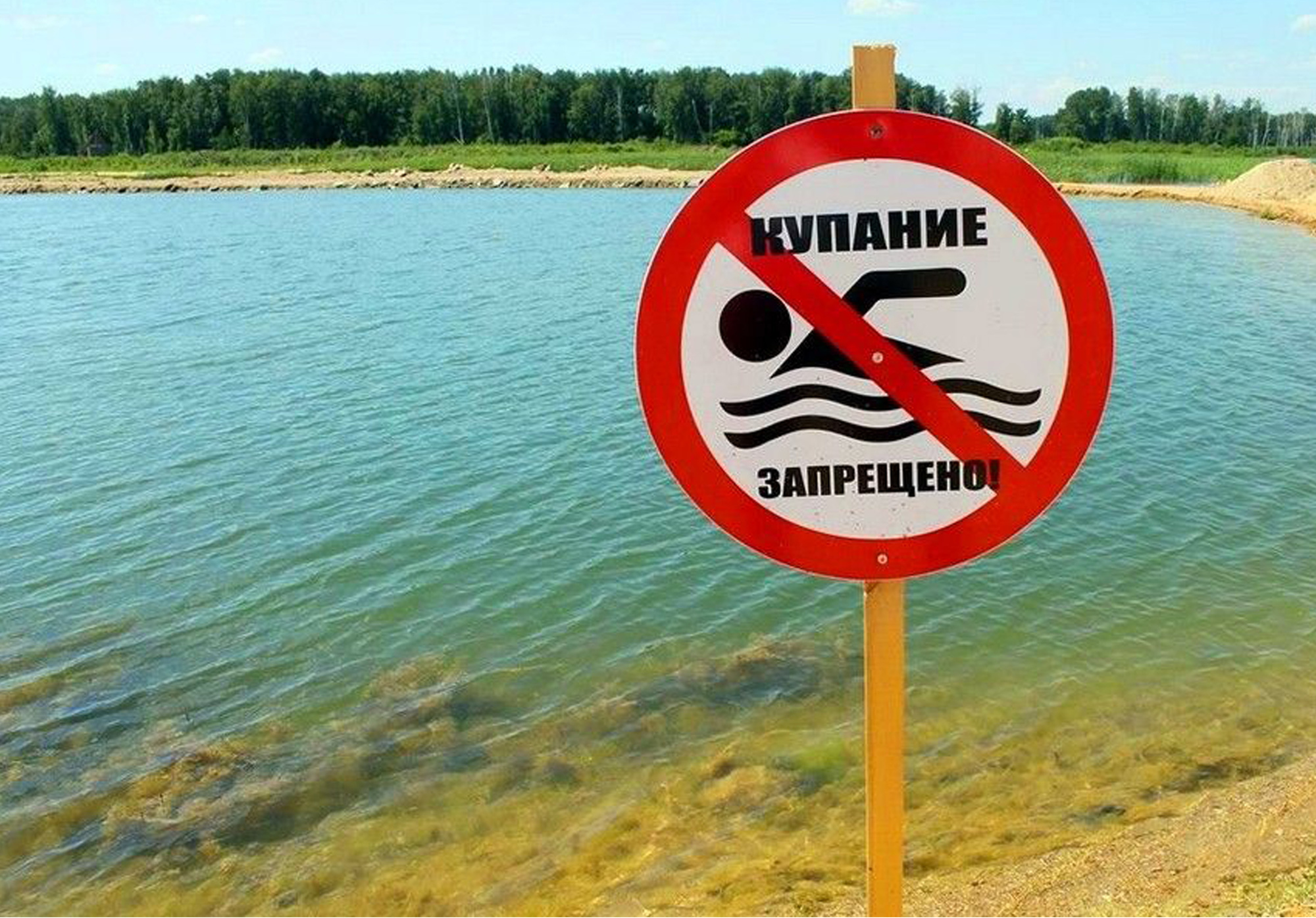 Купание запрещено!.